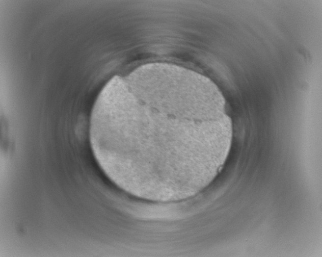 X0000115060036200911231224