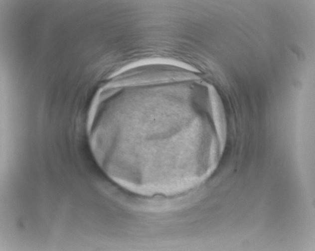 X0000115060037200911231224