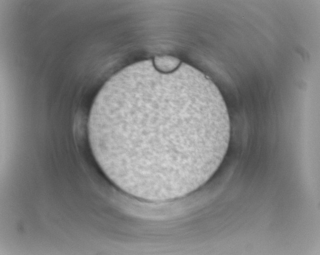 X0000115060038200911231224