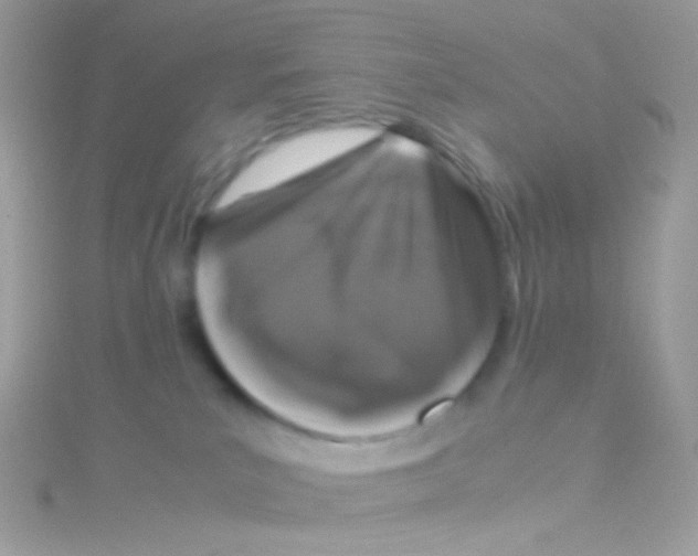 X0000115060039200911231224