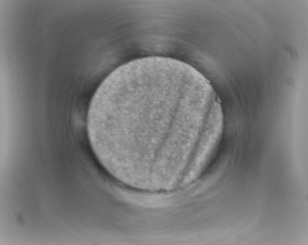 X0000115060040200911231224