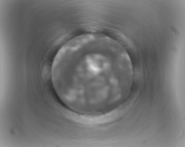 X0000115060043200911231224