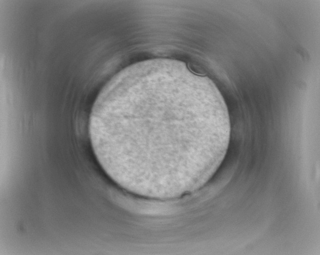 X0000115060044200911231224