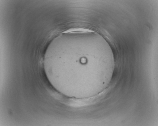 X0000115060045200911231224