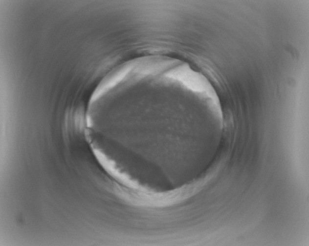 X0000115060046200911231224