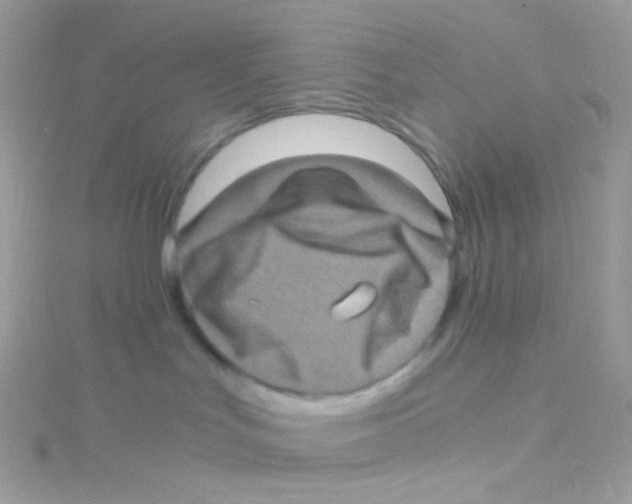 X0000115060047200911231224