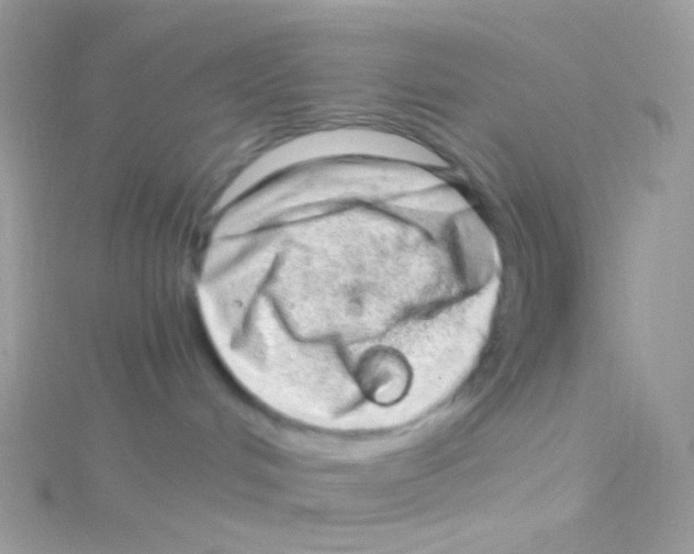 X0000115060048200911231224