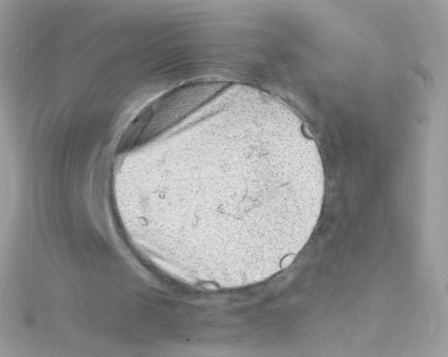 X0000115060049200911231223