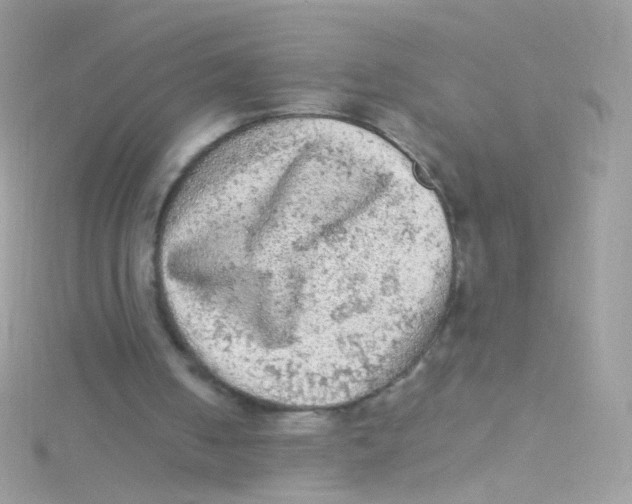 X0000115060050200911231223