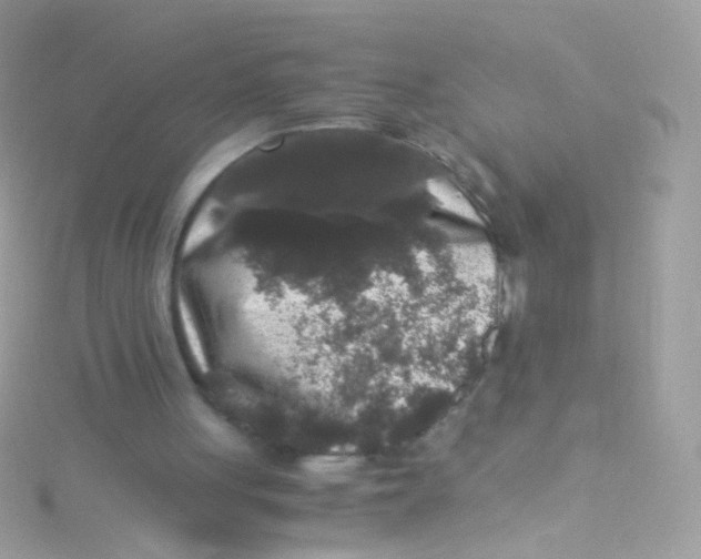 X0000115060051200911231223