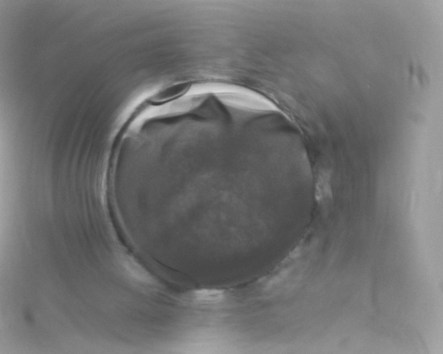 X0000115060052200911231223