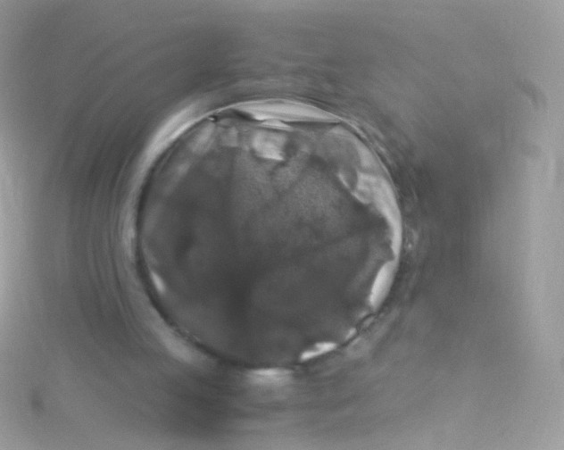 X0000115060053200911231223