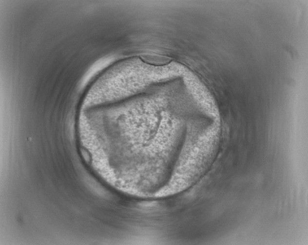 X0000115060054200911231223