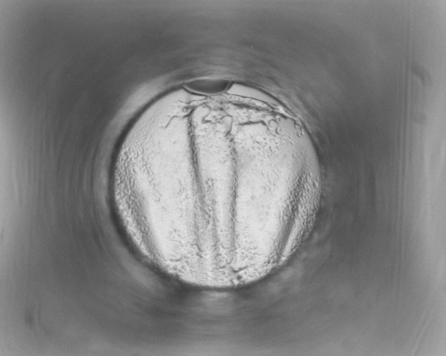 X0000115060055200911231223