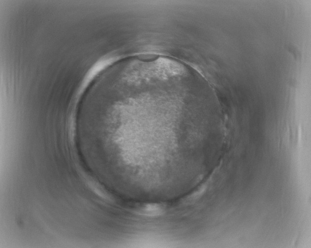 X0000115060056200911231223