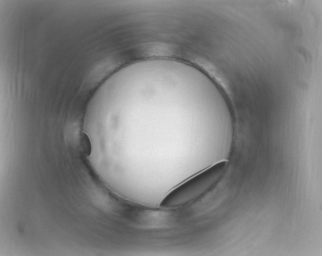 X0000115060057200911231223