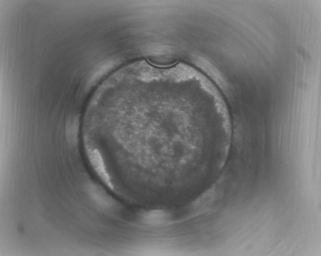 X0000115060058200911231223