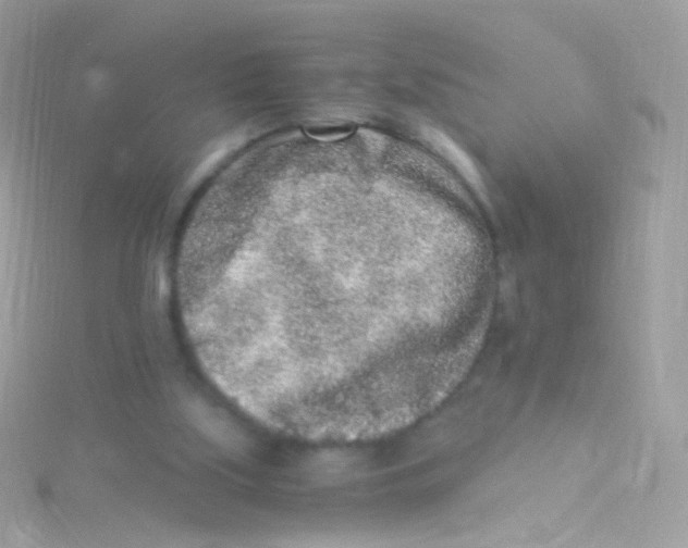 X0000115060059200911231223