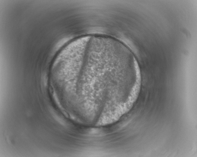 X0000115060060200911231223