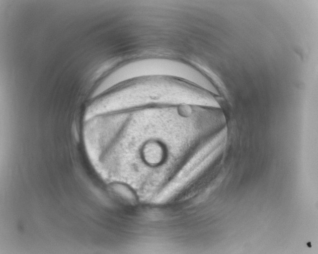 X0000115060062200911231223