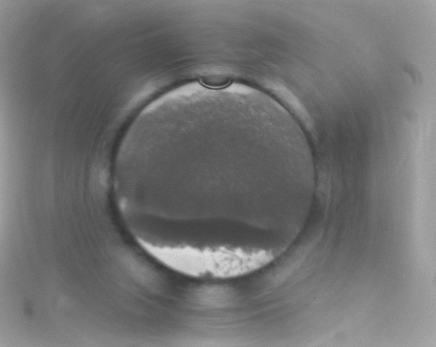 X0000115060063200911231223