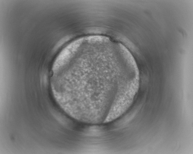 X0000115060064200911231223