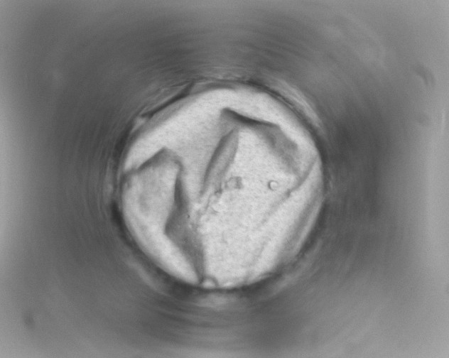 X0000115060065200911231223