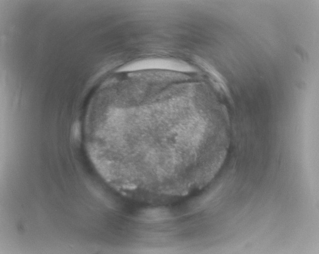 X0000115060067200911231223