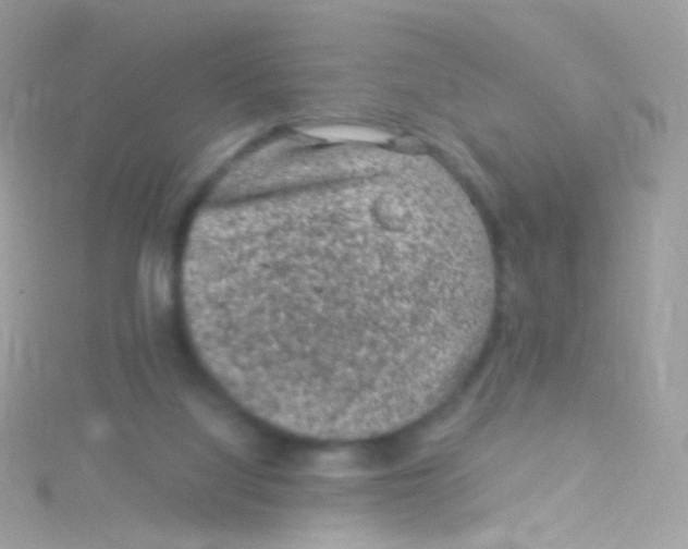 X0000115060068200911231223