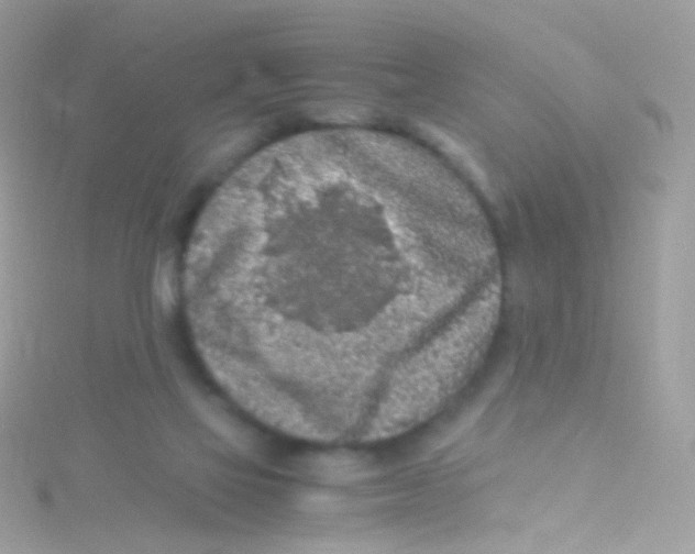 X0000115060069200911231223