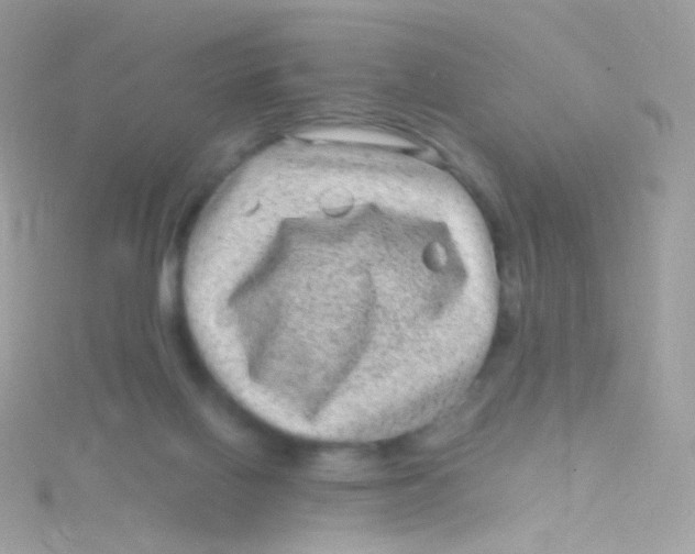 X0000115060070200911231223