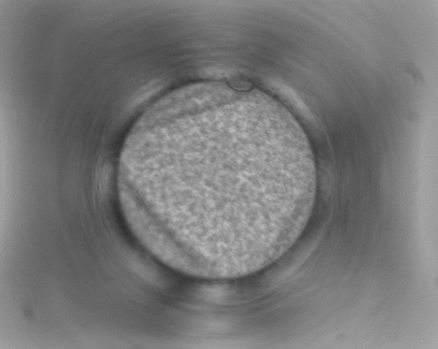 X0000115060071200911231223