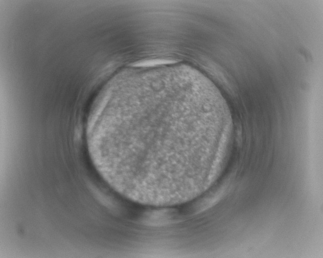 X0000115060072200911231223