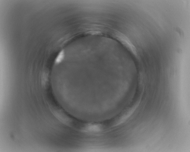 X0000115060073200911231224