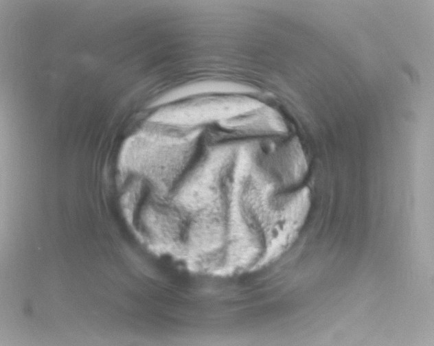 X0000115060074200911231224