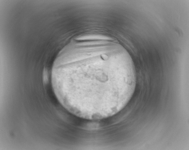 X0000115060075200911231224