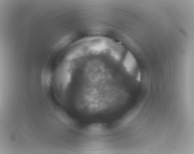 X0000115060076200911231224