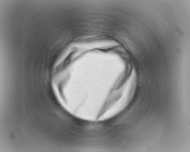 X0000115060077200911231224