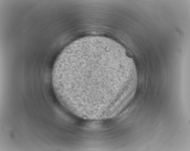 X0000115060078200911231224