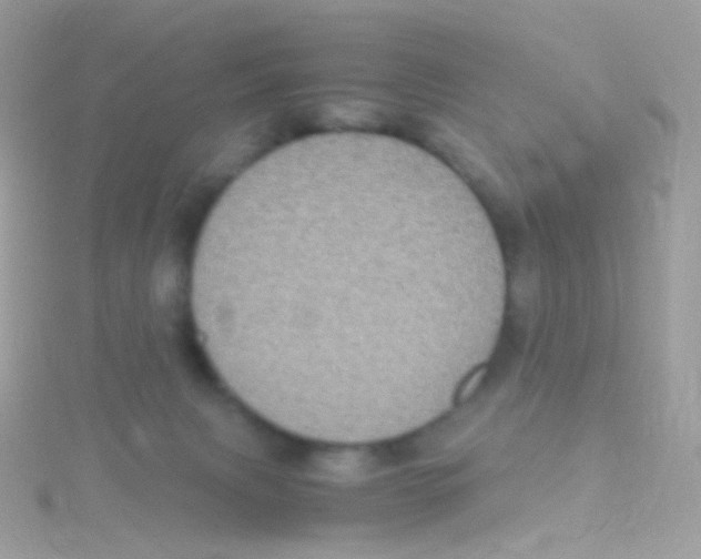 X0000115060079200911231224