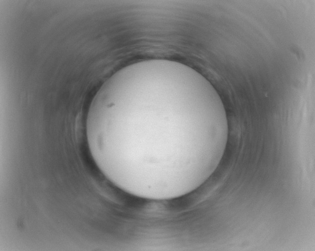 X0000115060080200911231224