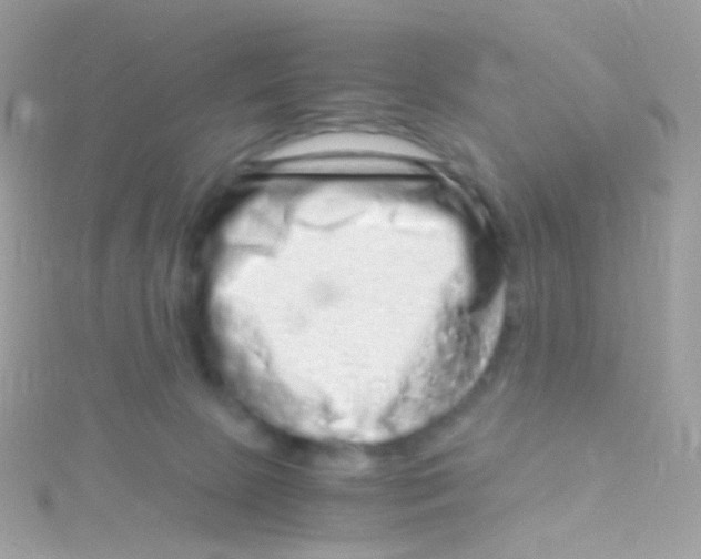 X0000115060081200911231224