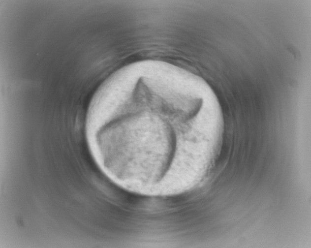 X0000115060082200911231224