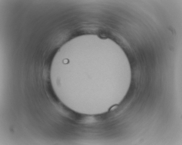 X0000115060083200911231224