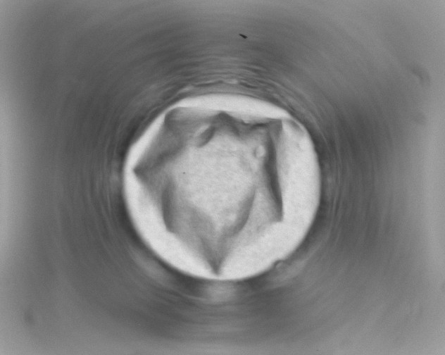 X0000115060085200911231224