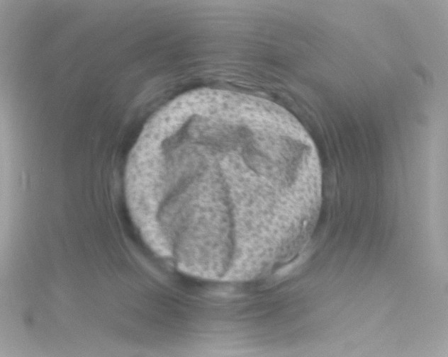 X0000115060086200911231224