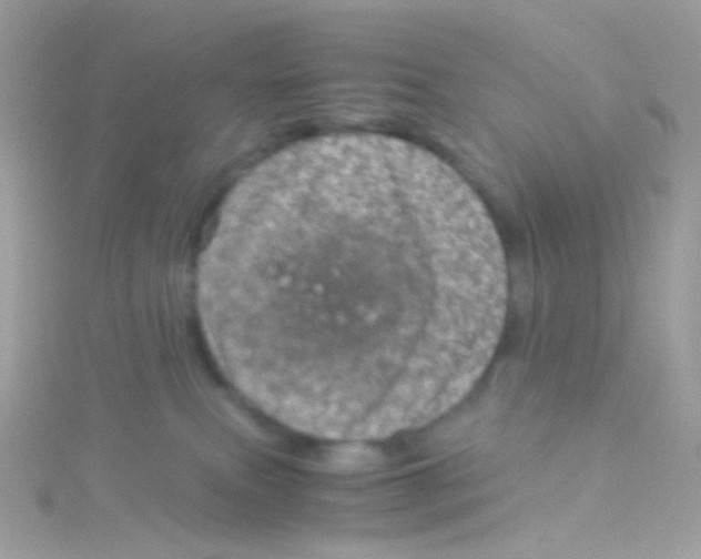 X0000115060087200911231224