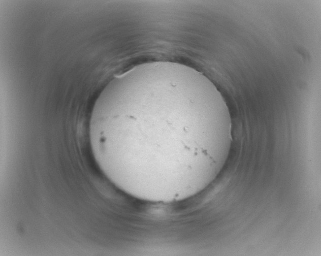 X0000115060088200911231224