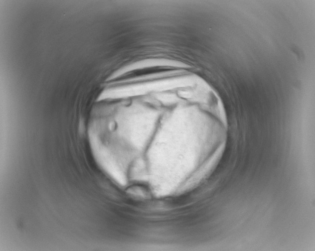 X0000115060089200911231224