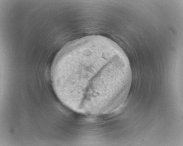 X0000115060090200911231224